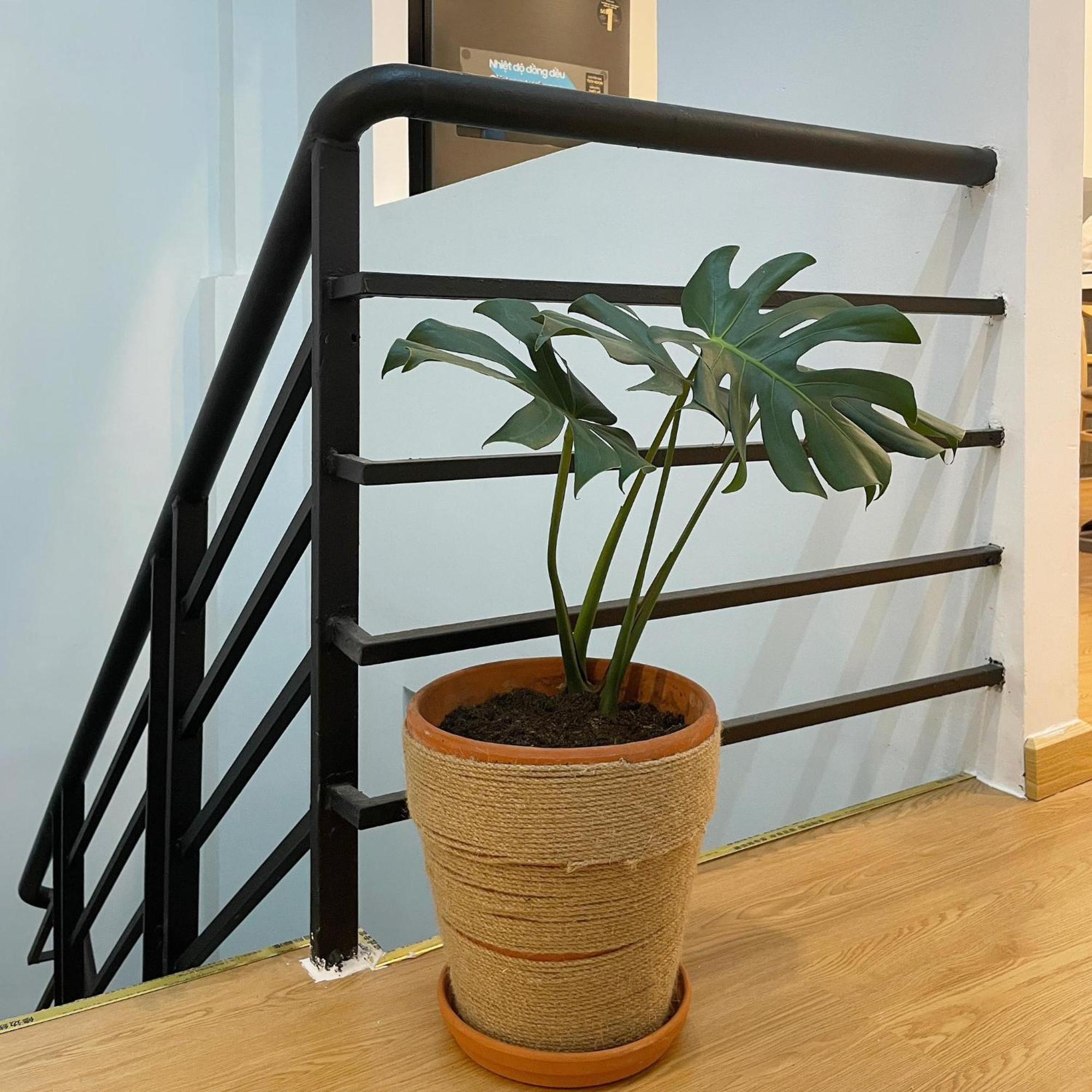 Alphabet Home Capsule Cidade de Ho Chi Minh Exterior foto